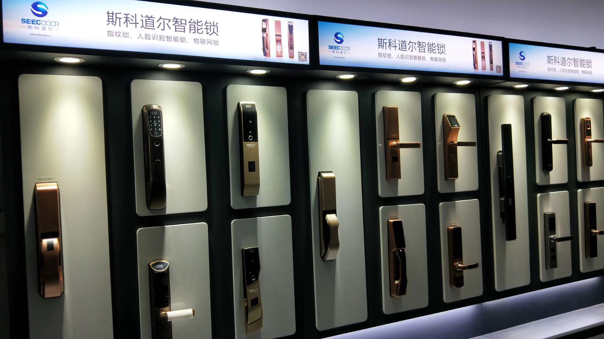 斯科道爾 斯科道爾